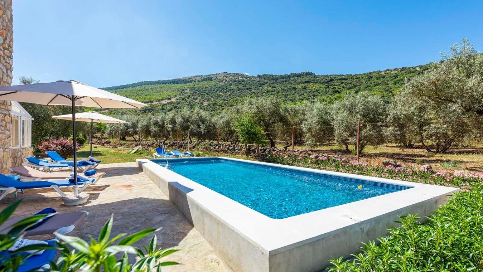 Casa Rural El Ciruelo Loco Alfarnate By Ruralidays Alfarnatejo Exterior photo