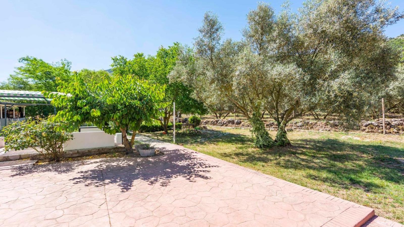 Casa Rural El Ciruelo Loco Alfarnate By Ruralidays Alfarnatejo Exterior photo